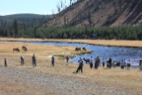 alpine loop010